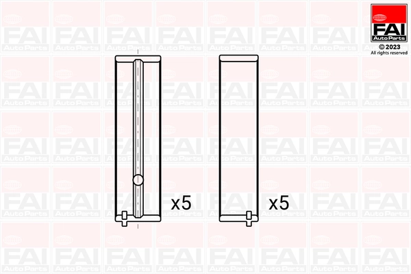 Crankshaft Bearing